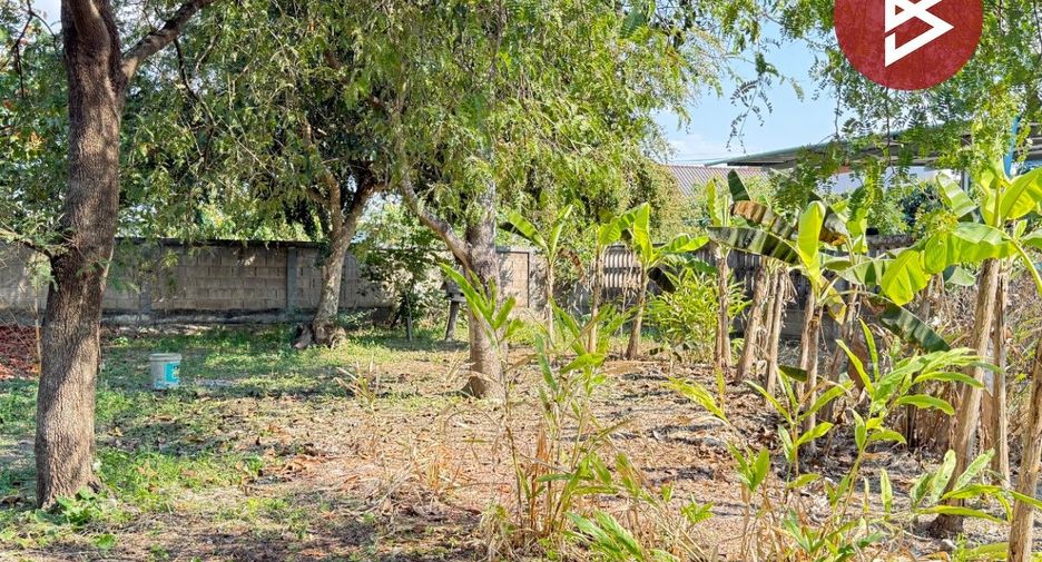 出售 土地 在 Mueang Lamphun, Lamphun