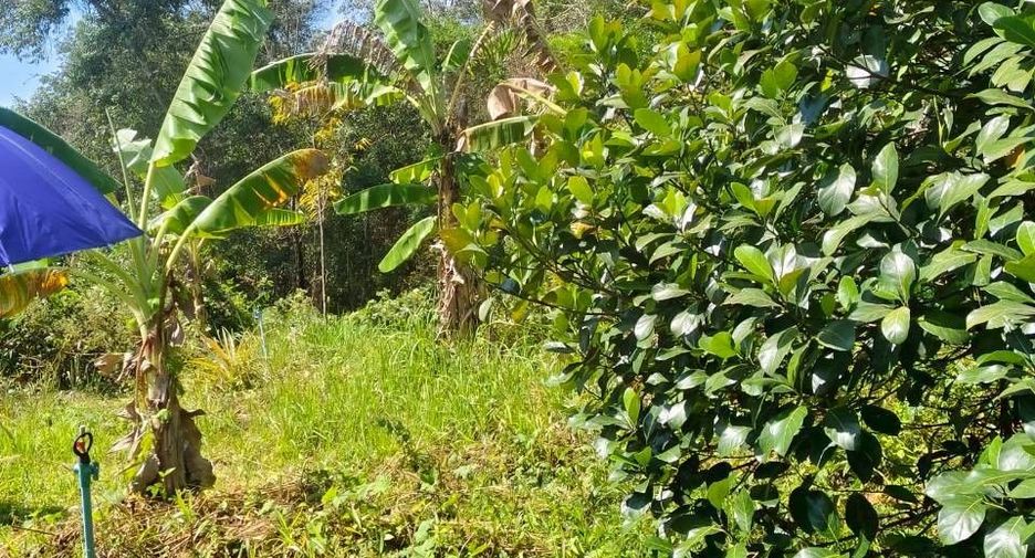 For sale land in Mueang Chanthaburi, Chanthaburi