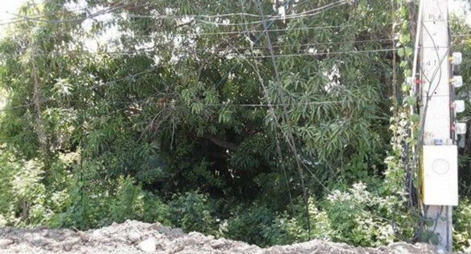 For sale land in Mueang Phetchabun, Phetchabun