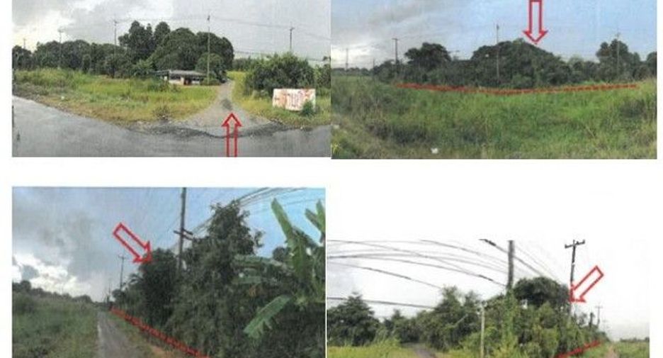 For sale land in Bang Rachan, Sing Buri