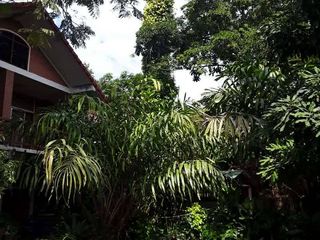 For sale 5 bedrooms house in Pak Chong, Nakhon Ratchasima