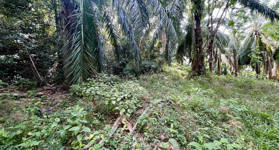 出售 土地 在 Mueang Krabi, Krabi