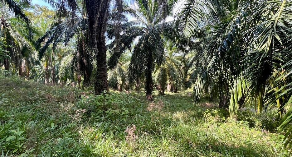 出售 土地 在 Mueang Krabi, Krabi