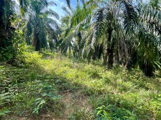 For sale land in Mueang Krabi, Krabi