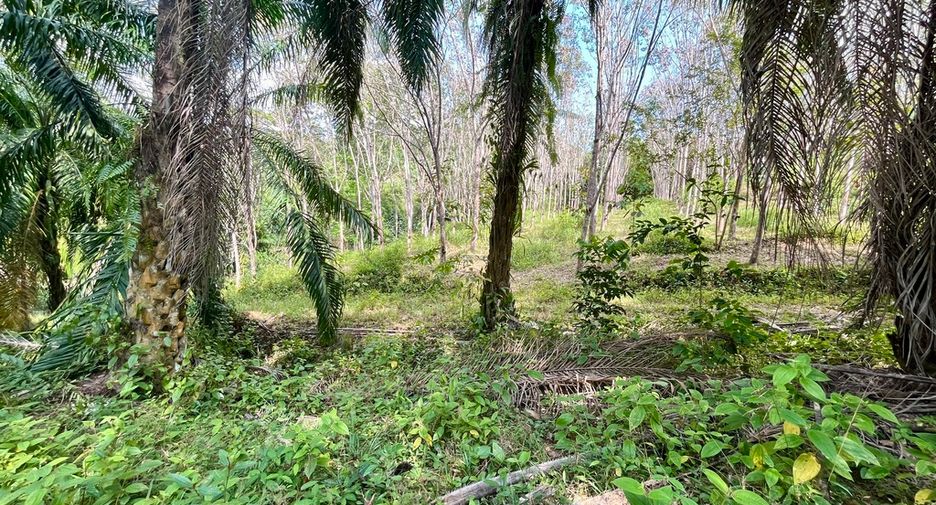 出售 土地 在 Mueang Krabi, Krabi