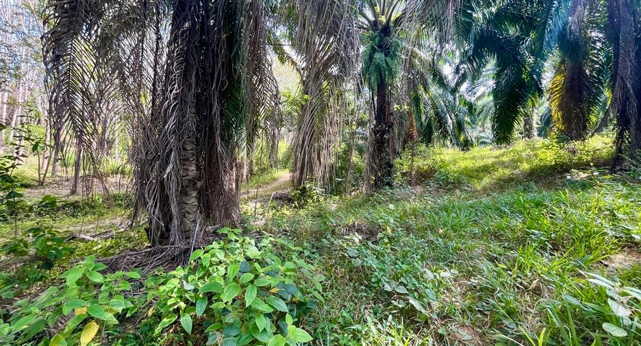 出售 土地 在 Mueang Krabi, Krabi