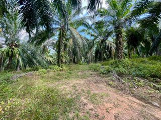 For sale land in Mueang Krabi, Krabi