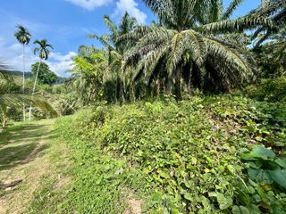 For sale land in Mueang Krabi, Krabi