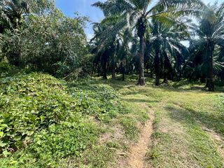 For sale land in Mueang Krabi, Krabi