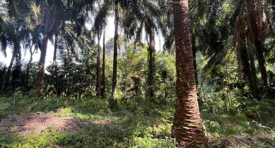 Grundstück zum Kauf in Mueang Krabi, Krabi