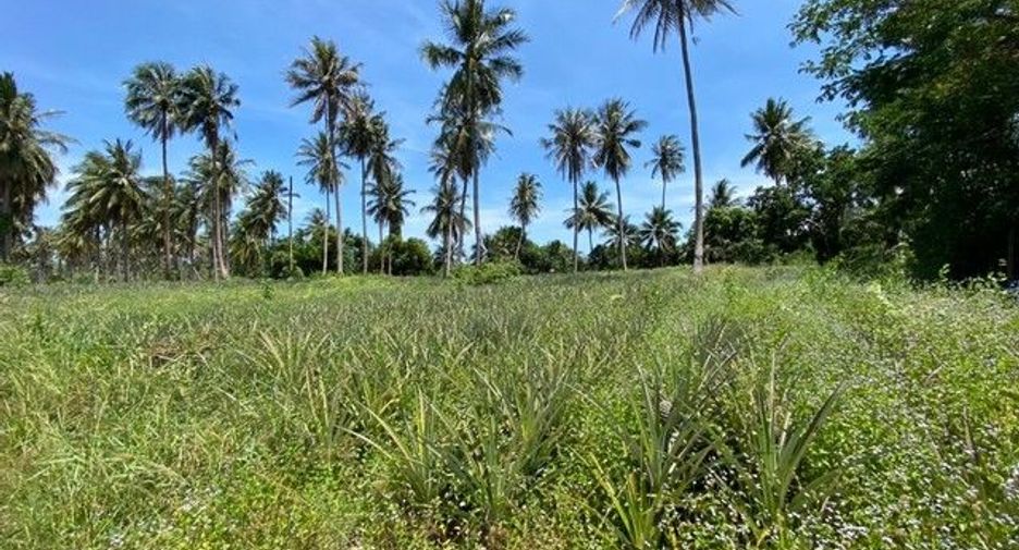 À vendre terrain à Kui Buri, Prachuap Khiri Khan