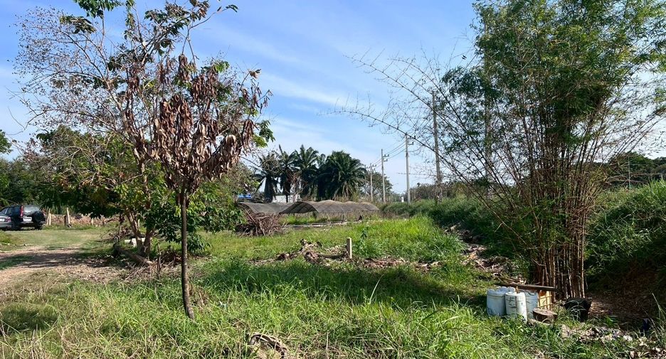 For sale 2 bedrooms house in Phrom Buri, Sing Buri