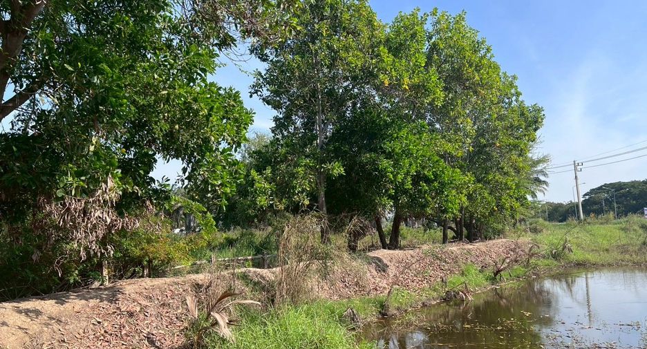 For sale 2 bedrooms house in Phrom Buri, Sing Buri