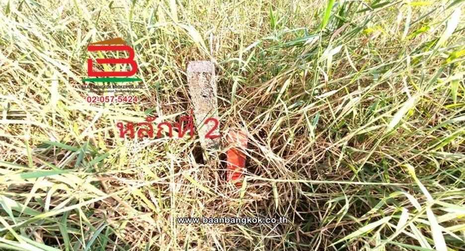 Terreno en venta en Bang Bua Thong, Nonthaburi
