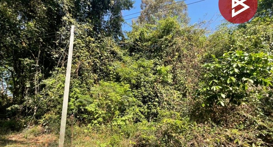 For sale land in Mueang Ubon Ratchathani, Ubon Ratchathani