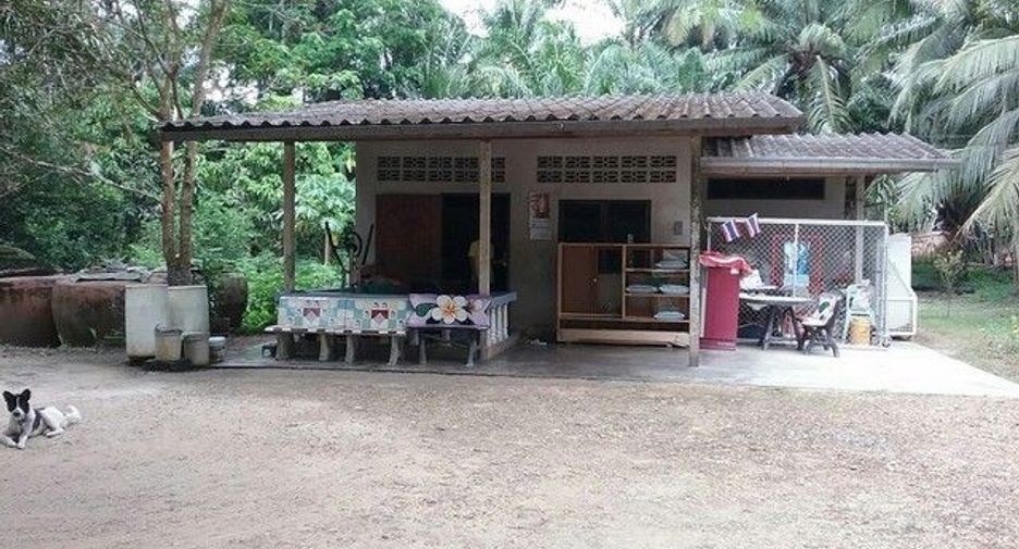 For sale land in Tha Sae, Chumphon