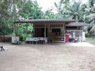 出售 土地 在 Tha Sae, Chumphon
