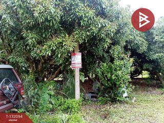 For sale land in Wiang Pa Pao, Chiang Rai