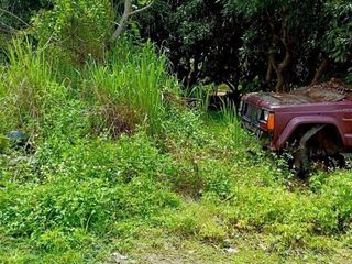 For sale land in Wiang Pa Pao, Chiang Rai