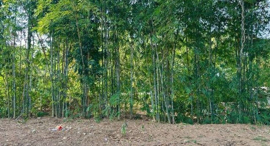 For rent land in Si Sawat, Kanchanaburi