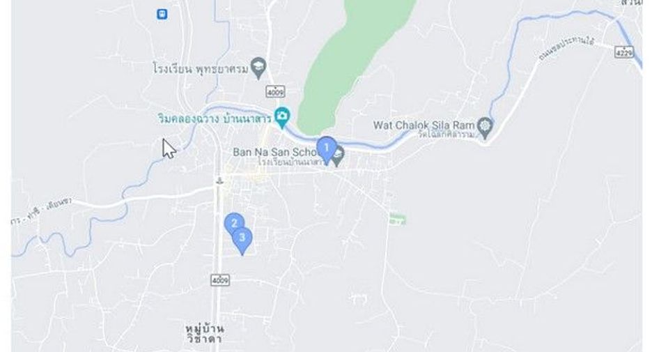 ขาย 1 เตียง บ้านเดี่ยว ใน คีรีรัฐนิคม, สุราษฎร์ธานี