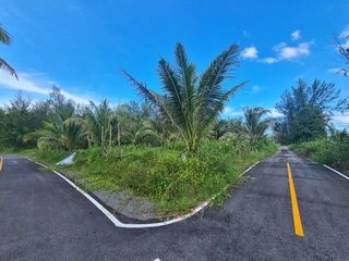 For sale land in Kapong, Phang Nga