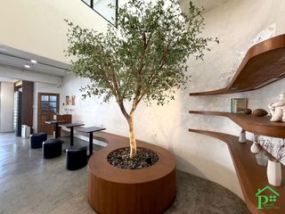 For sale 3 ベッドルーム retail Space in Mueang Chiang Mai, Chiang Mai