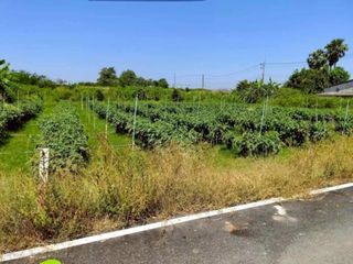 Terreno en venta en Mueang Nakhon Pathom, Nakhon Pathom