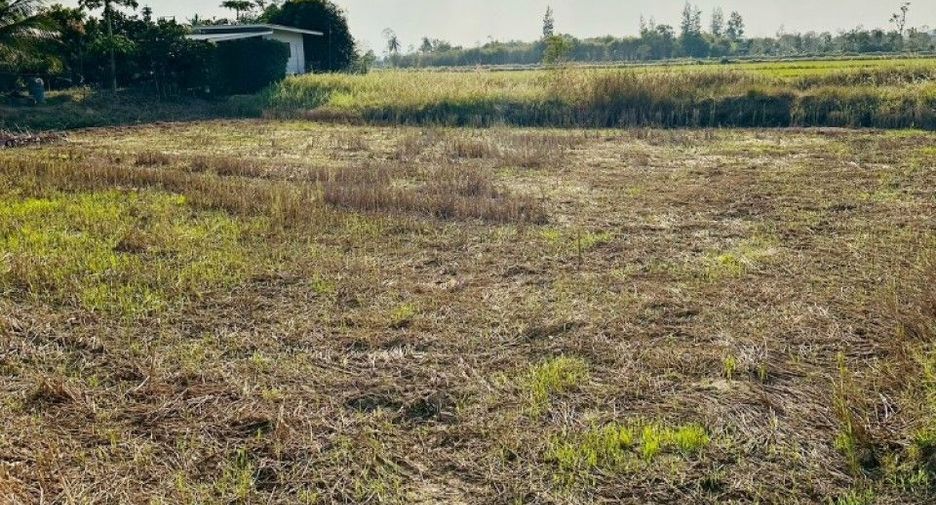 Terreno en venta en Pak Thong Chai, Nakhon Ratchasima