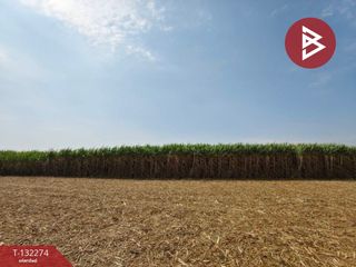 For sale land in Kamphaeng Saen, Nakhon Pathom