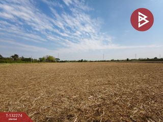For sale land in Kamphaeng Saen, Nakhon Pathom