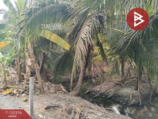 For sale land in Ban Phaeo, Samut Sakhon
