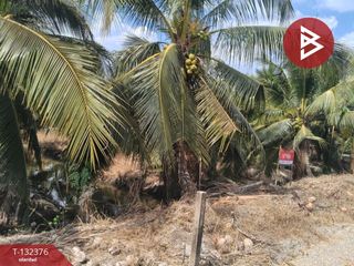 For sale land in Ban Phaeo, Samut Sakhon