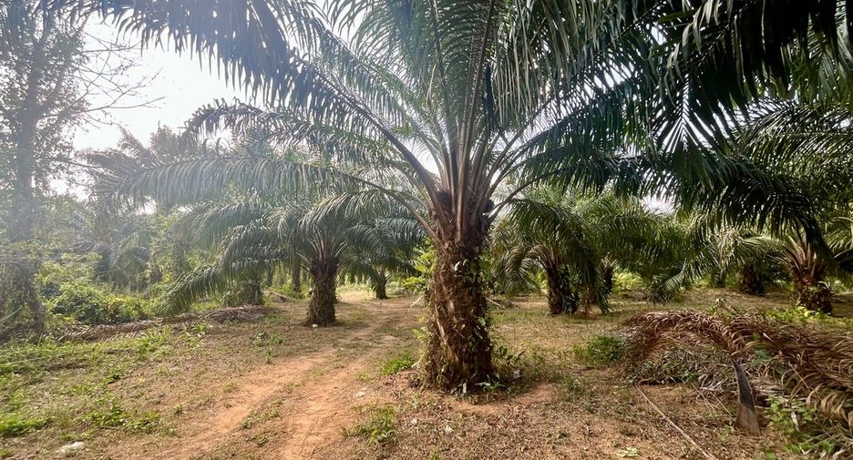 For sale land in Thai Mueang, Phang Nga