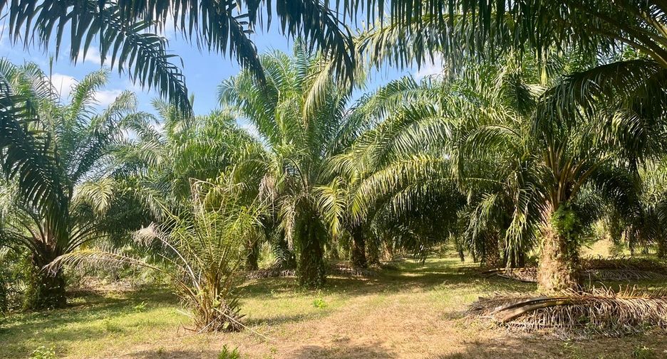 For sale land in Thai Mueang, Phang Nga