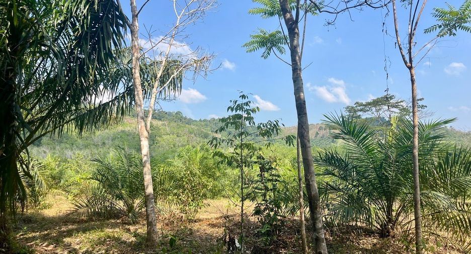For sale land in Thai Mueang, Phang Nga