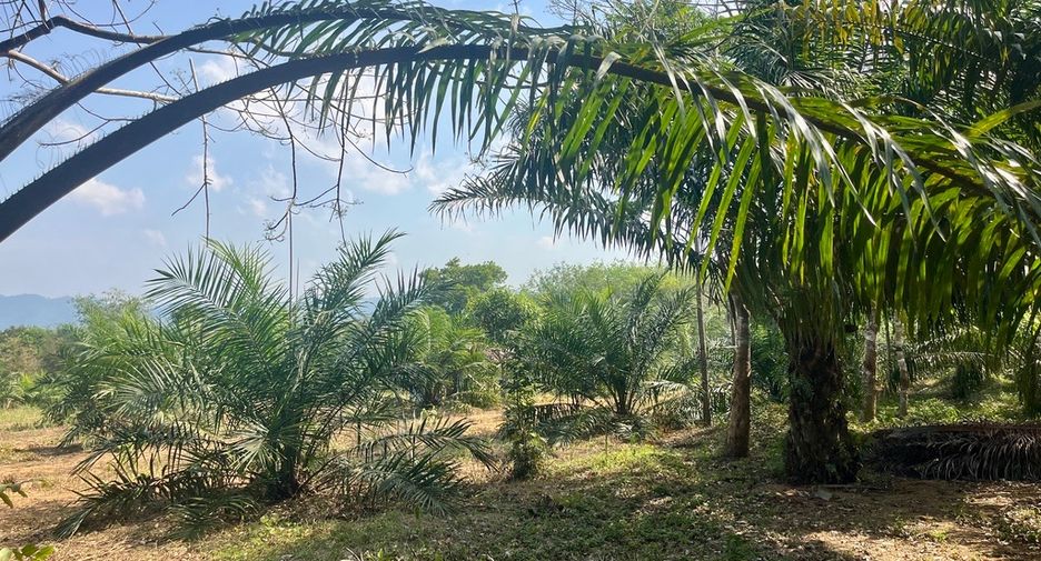 For sale land in Thai Mueang, Phang Nga