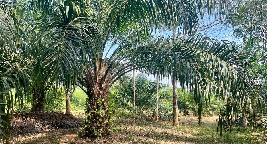 For sale land in Thai Mueang, Phang Nga