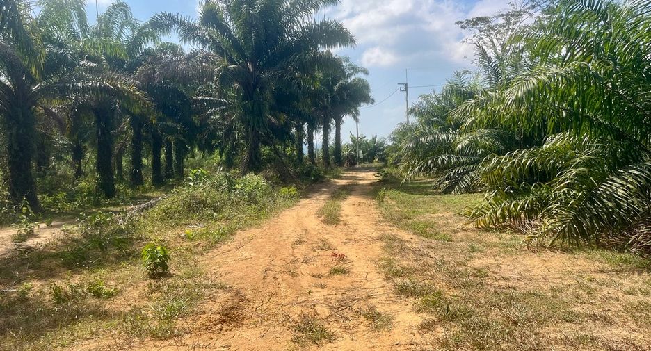 For sale land in Thai Mueang, Phang Nga