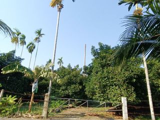For sale land in Mueang Chanthaburi, Chanthaburi