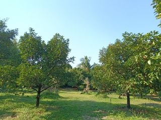For sale land in Mueang Chanthaburi, Chanthaburi