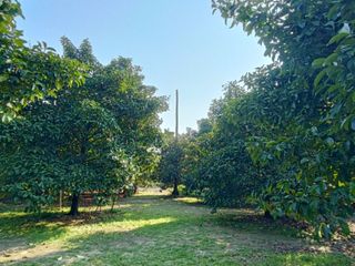 For sale land in Mueang Chanthaburi, Chanthaburi