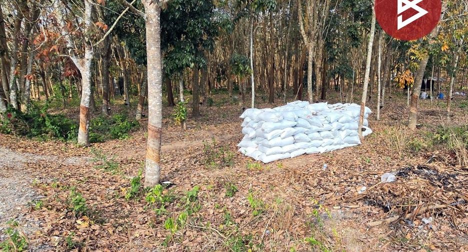 For sale land in Klaeng, Rayong