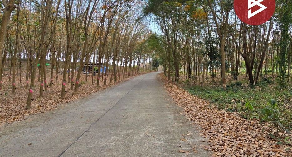 For sale land in Klaeng, Rayong