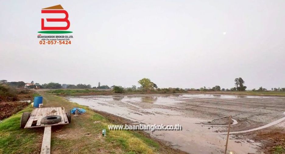 For sale land in Bang Pla Ma, Suphan Buri