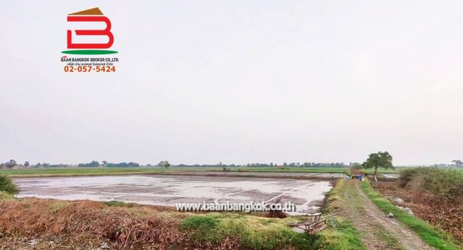 For sale land in Bang Pla Ma, Suphan Buri