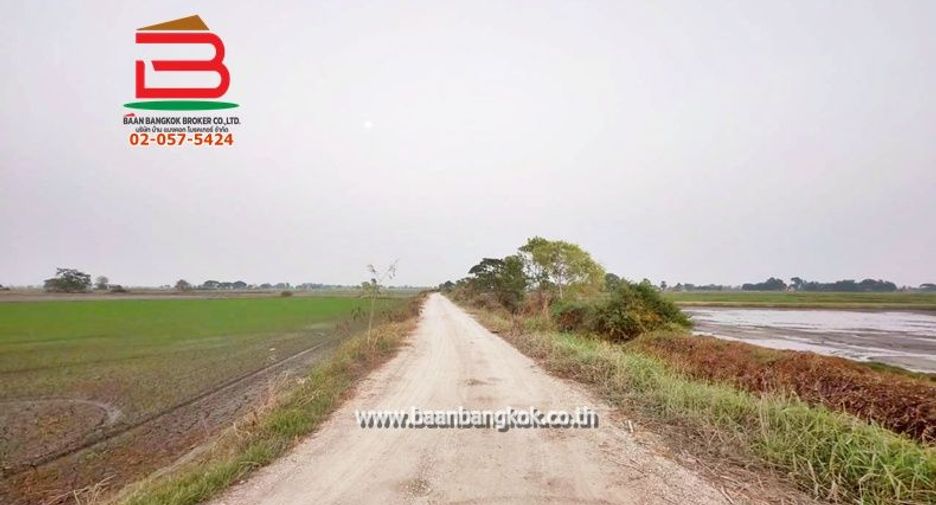 For sale land in Bang Pla Ma, Suphan Buri