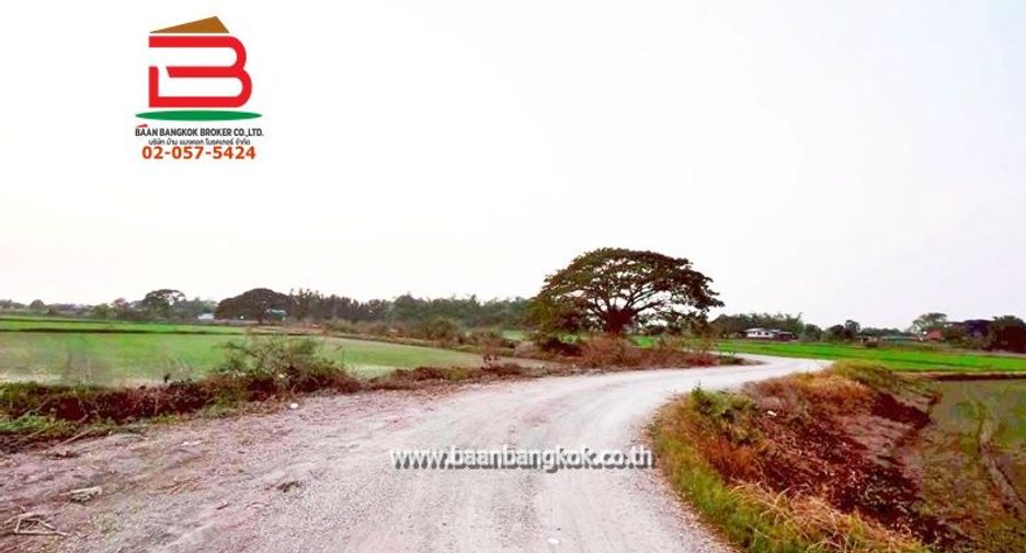 For sale land in Bang Pla Ma, Suphan Buri