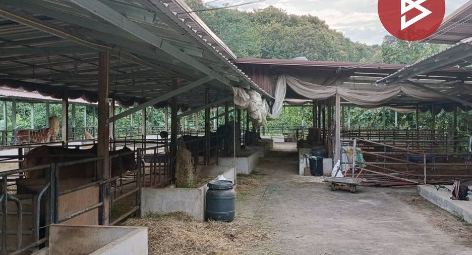 For sale land in Mae Taeng, Chiang Mai