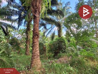 出售 土地 在 Mueang Nakhon Si Thammarat, Nakhon Si Thammarat